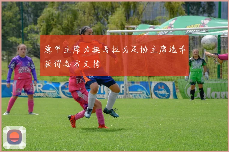 意甲主席力挺马拉戈足协主席选举获得各方支持